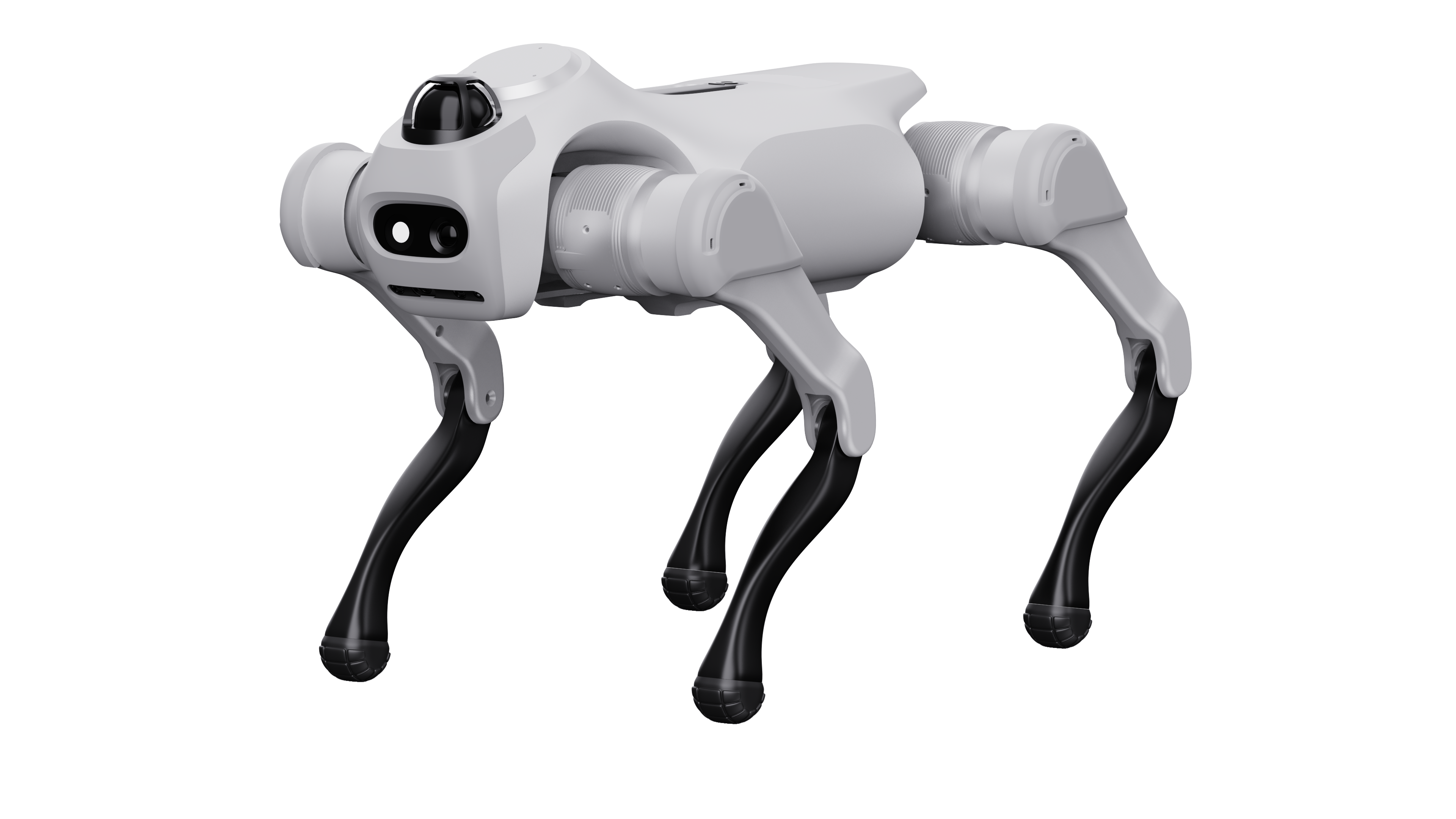 MagicDog T1