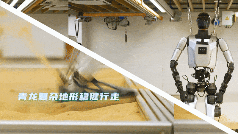 龙.gif