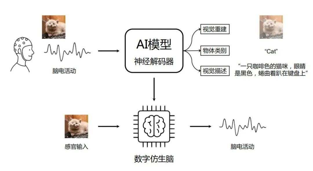图片 28.png