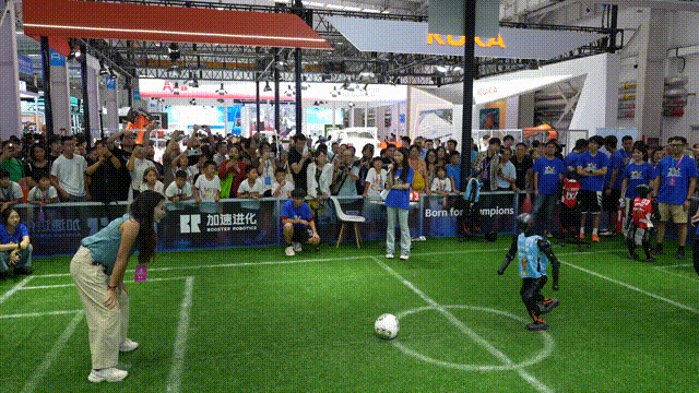 6.gif