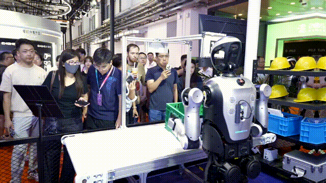 7.gif