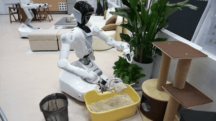12.gif