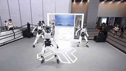 14.gif