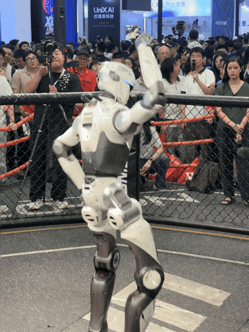 22.gif