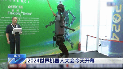 66cf2735b1562.gif