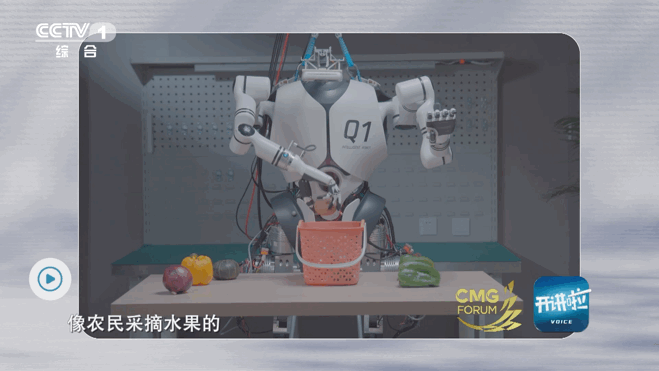 66cf275f11f16.gif