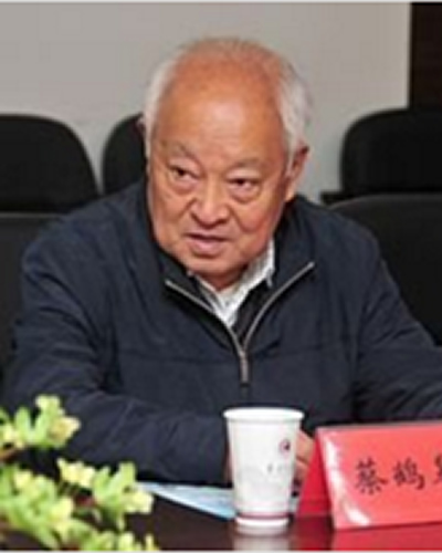 CAI Hegao